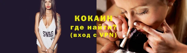 прущие грибы Кинешма