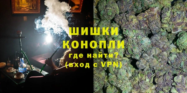 прущие грибы Кинешма
